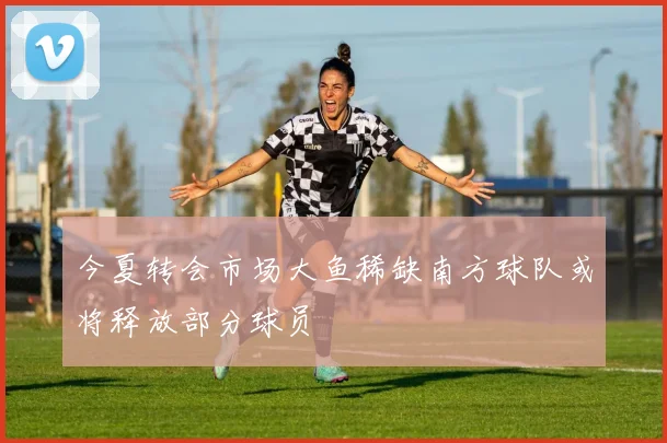 今夏转会市场大鱼稀缺南方球队或将释放部分球员