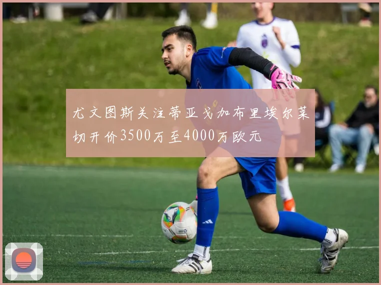 尤文图斯关注蒂亚戈加布里埃尔莱切开价3500万至4000万欧元